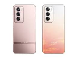 Oppo Reno 12 5G(8 GB RAM)(256GB)